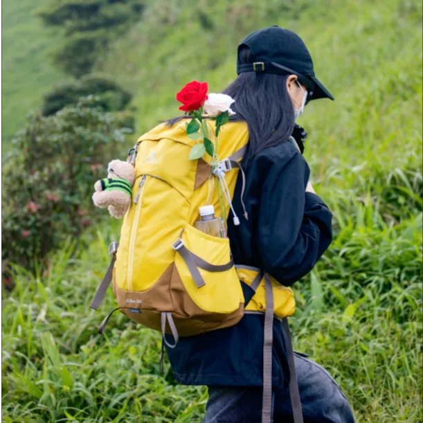 Aione/艾王专业户外登山包悬浮背负旅行背包徒步双肩包30升男女新