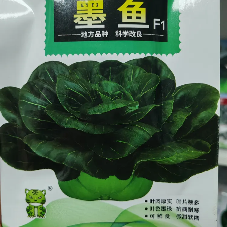 小白菜种子青菜秧种籽四季阳台盆栽庭院蔬菜耐热速生易种理想墨鱼