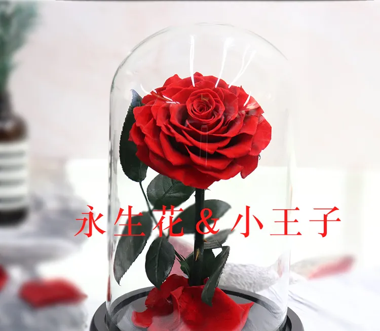 永生花玻璃罩小王子情人节礼物礼盒浪漫送礼表白玫瑰