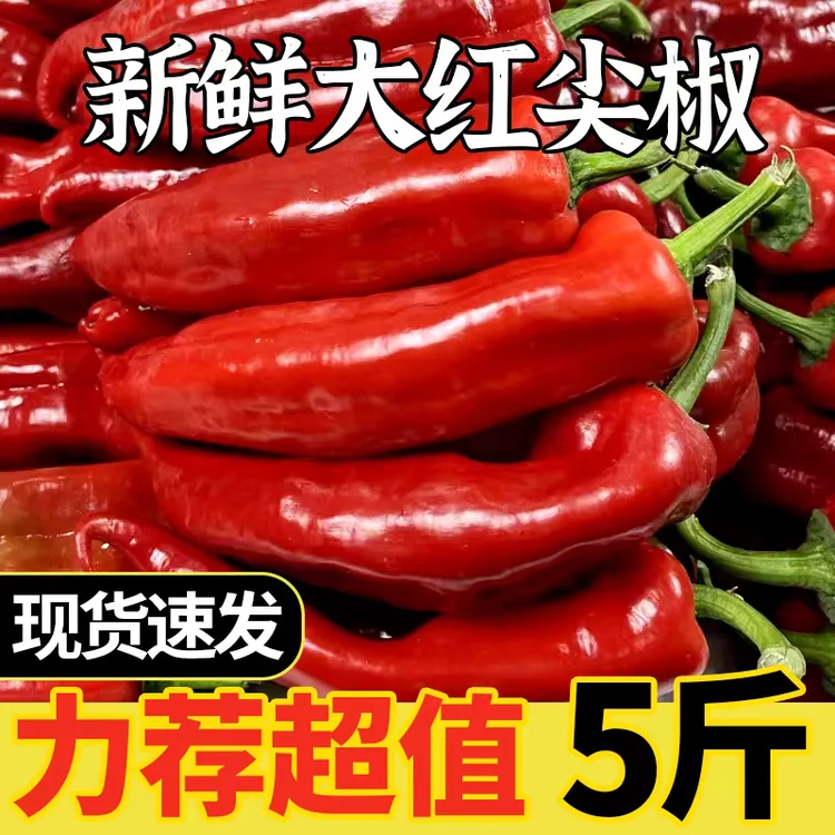 新鲜红泡椒大红尖椒辣椒灯笼椒剁椒农家自种辣椒酱应季蔬菜5斤