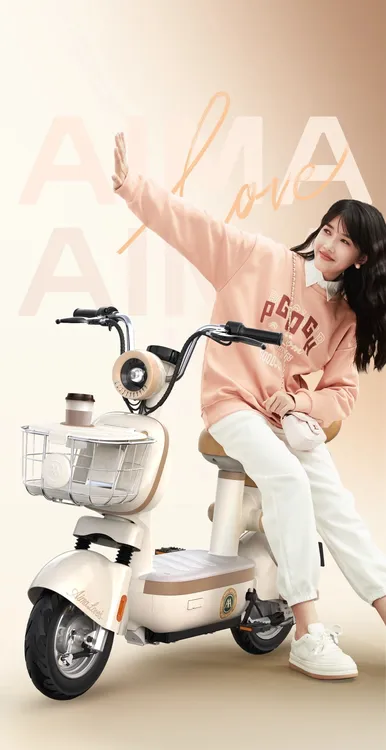 爱玛原装电池【元宇宙pro花园版】工厂直发60-70公里新国标可上牌