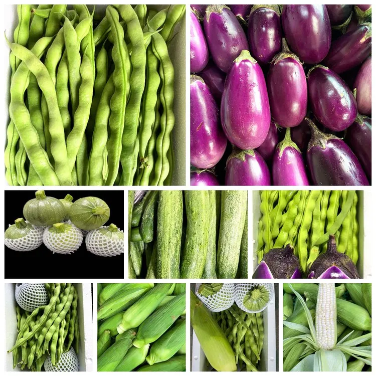 贵州应季新鲜茄子四季豆小南瓜白糯玉米辣椒黄瓜