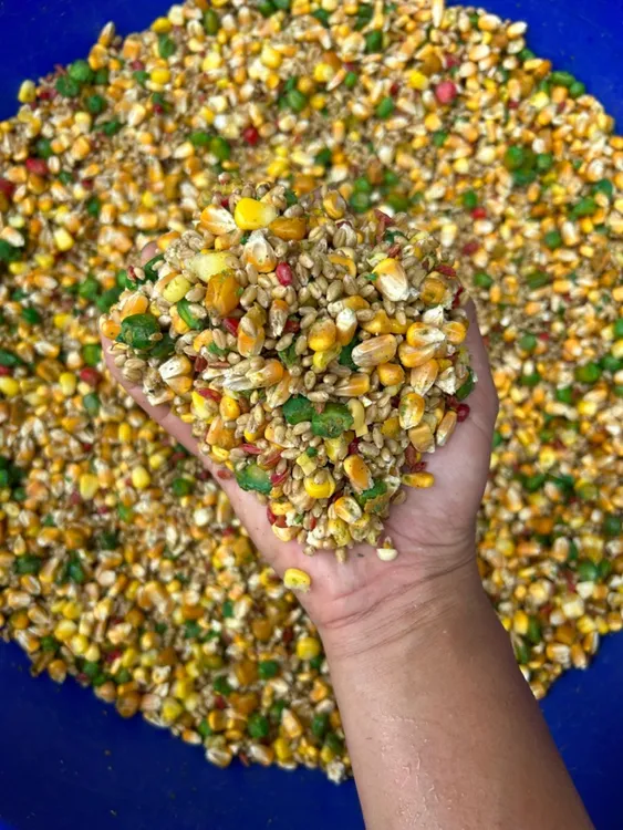 钓草鱼专用窝料/钓料/欧鲤钓/打窝船