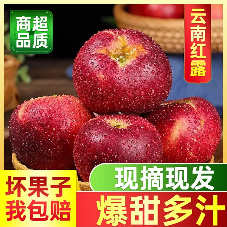 2025正宗云南昭通红露丑苹果高原红富士应季新鲜水果农家果园现摘