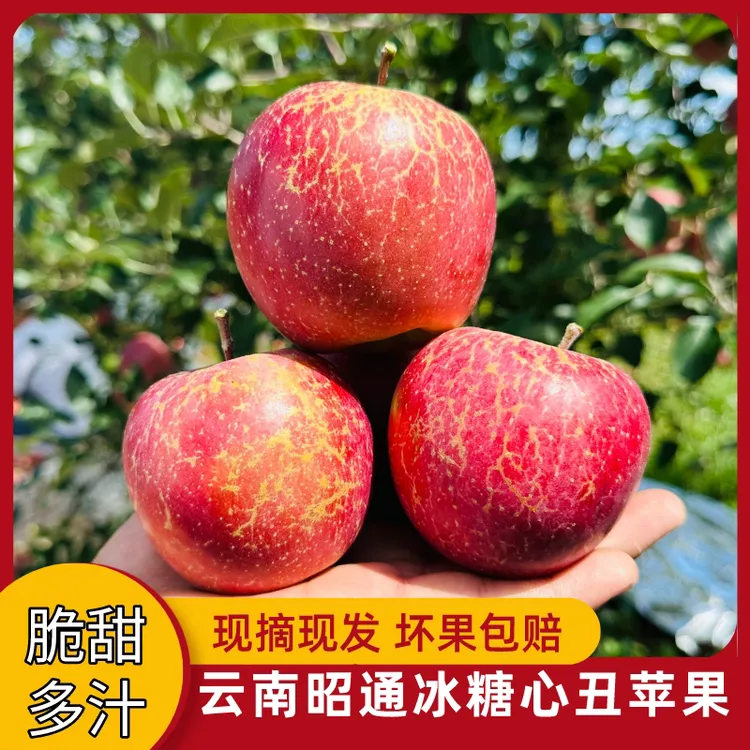 正宗云南昭通丑苹果新鲜水果当季整箱包邮5-10斤