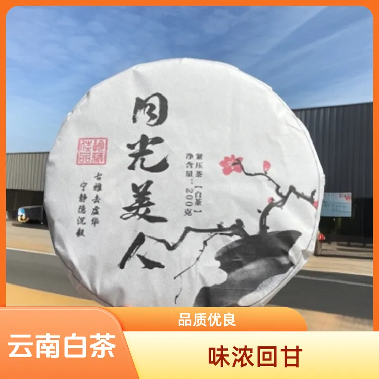 云南白茶-月光美人（紧压白茶）2024年新茶