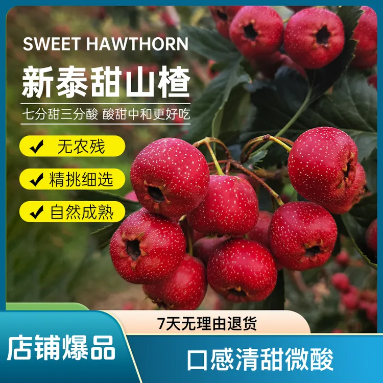 山东甜红子山楂 红果雪球新泰甜山楂8分甜2分酸1/3/4 斤