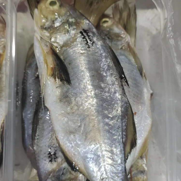 泉州叼好米生鲜（午笋）