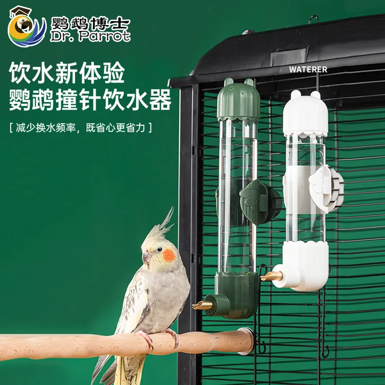 鹦鹉撞针水壶喂饮水器龙猫兔子荷兰猪豚松鼠鹦鹉防咬静音滚珠水壶