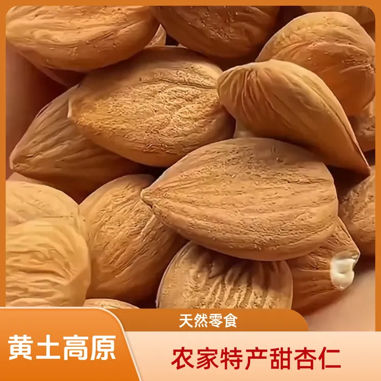 甘肃庆阳农家特产甜杏仁南杏仁生杏仁大颗粒原味杏仁坚果营养零食