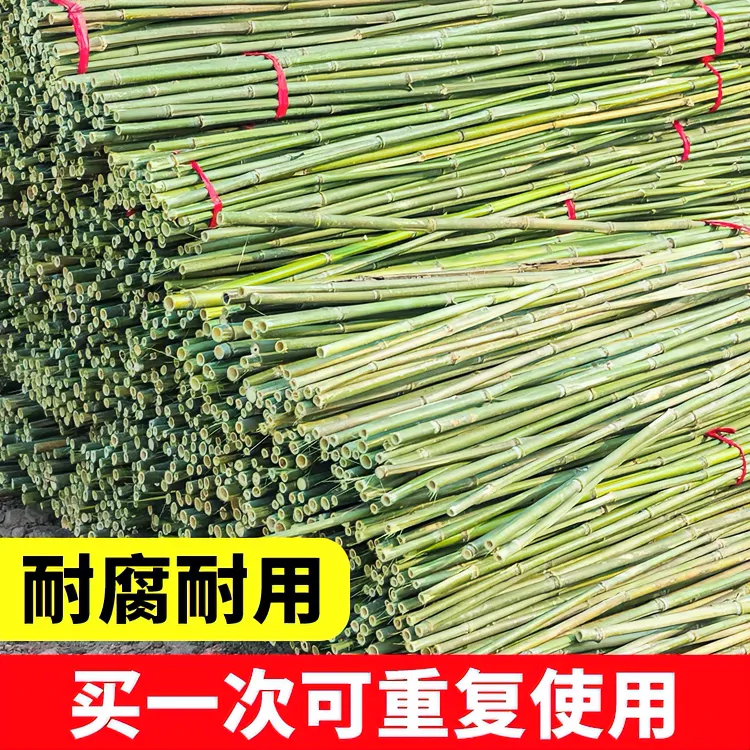 竹竿菜园搭架蔬菜黄瓜番茄豆角架杆竹篱笆栅栏小竹子细竹竿爬藤架