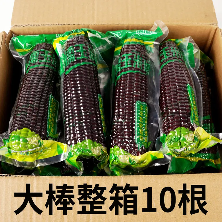 【大棒260g*10】黑玉米正宗当季甜糯玉米真空黏紫玉米主食代餐低脂