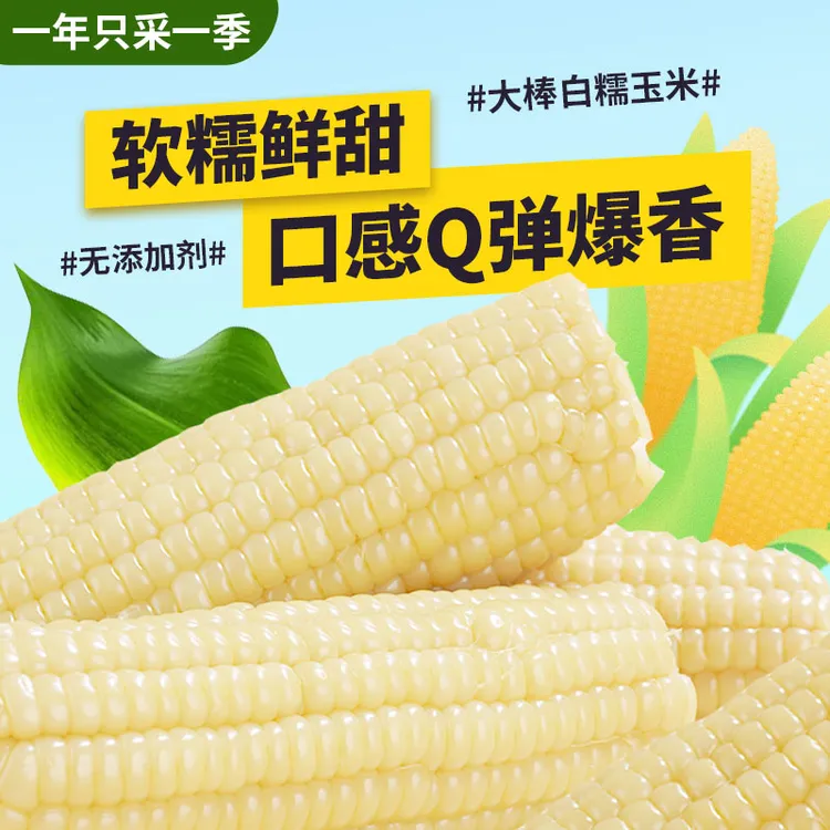 【新货】大棒白玉米甜糯粘黏新鲜头茬真空粗粮玉米健身减代餐早餐
