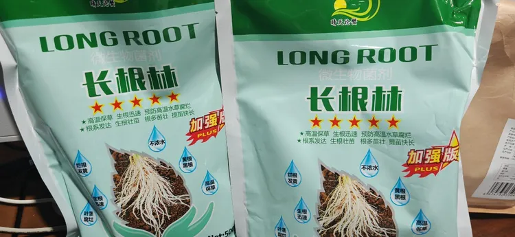 长根灵水草生根高温保草必备---水质调水产养殖产品