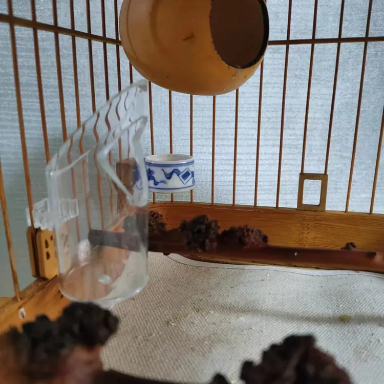 防甩食盒，适合各种鸟笼 圆笼方笼都可以用 三档丝距 包邮