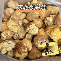 精选东北猴头菇 （胶）
