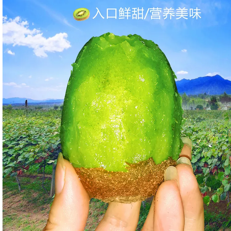 【优选】翠香猕猴桃甜蜜扶风翠香酸甜多汁口感细腻猕猴桃