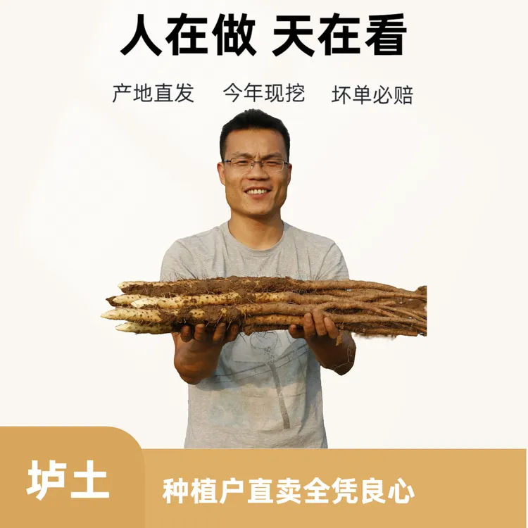 果王5斤送1斤特大怀山药65厘米长温县怀山药新鲜铁棍山药垆土铁棍