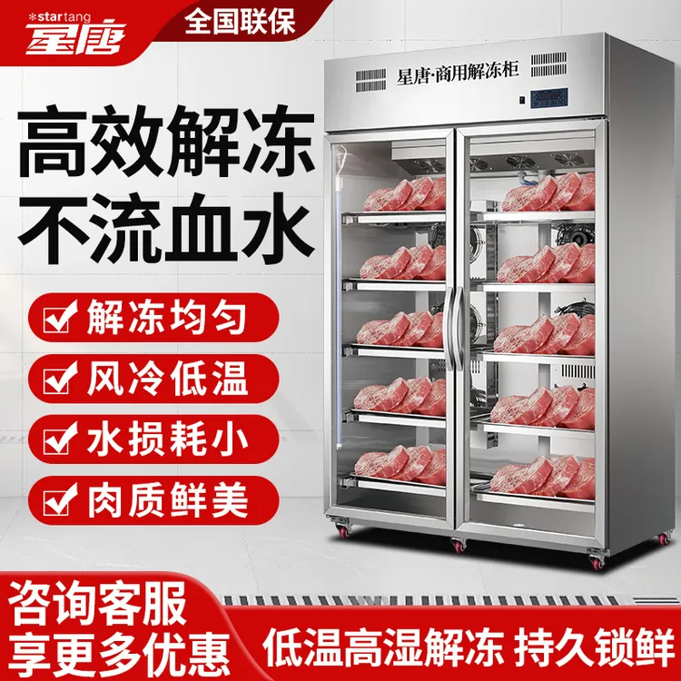 星唐低温高湿解冻柜商用多功能冷藏抑菌化冻机高压静电牛肉排酸柜