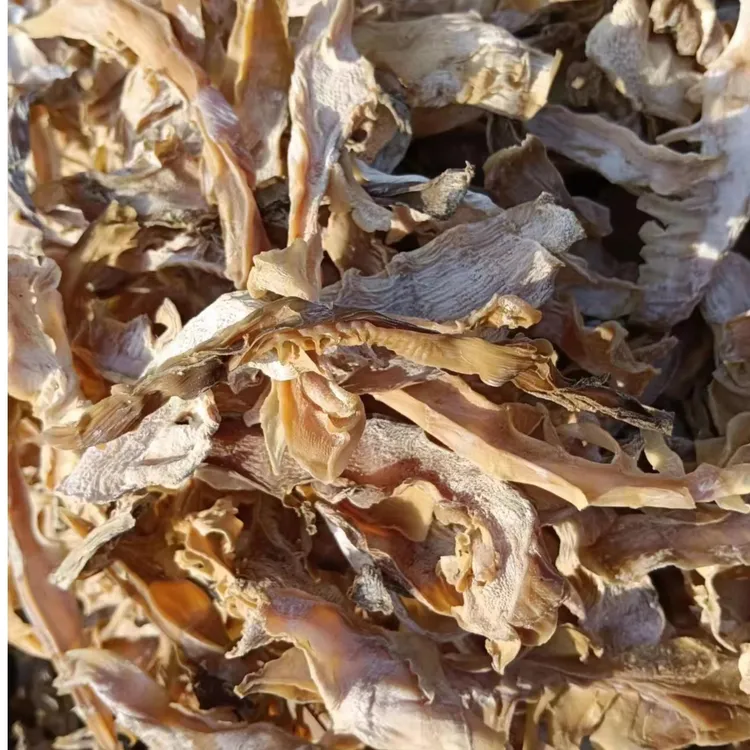 天然无公害有机笋干