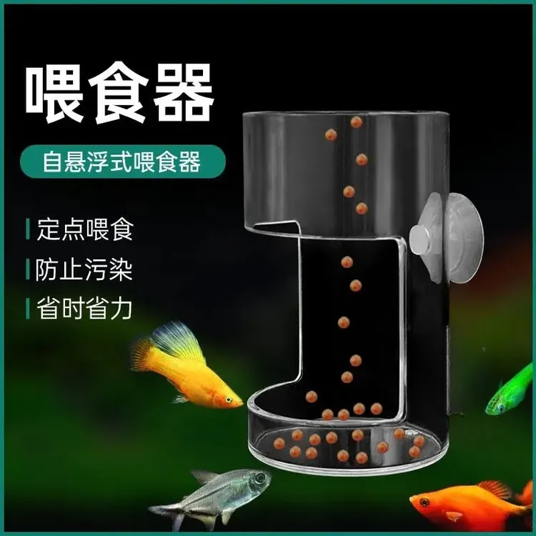 鱼缸喂食器孔雀鱼亚克力小型定点食管下沉飘散自动喂器神器松弛感