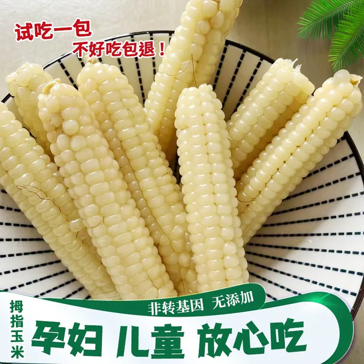 西双版纳拇指小玉米新鲜白糯真空包装1斤4斤儿童早餐低脂