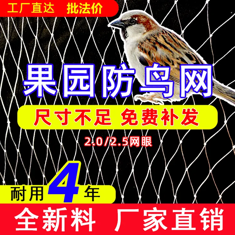 防小鸟网果树果园蔬菜大棚阳台鱼塘樱桃树葡萄窗户涤纶尼龙线天网