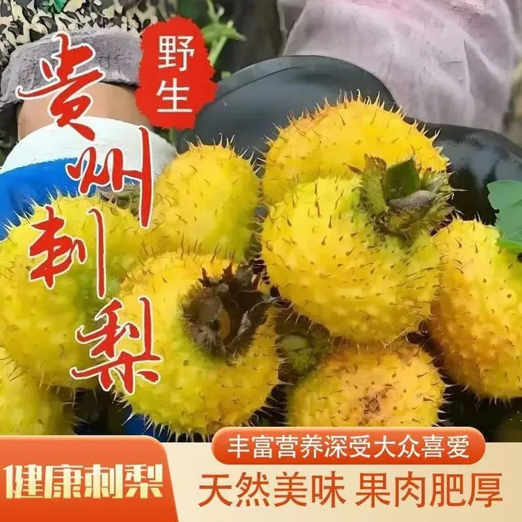 贵州野生刺梨现摘现发新鲜刺梨果純天然维c泡酒榨汁泡水三斤包邮
