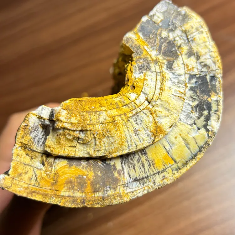 五花龙骨 另有整根龙骨 非土龙骨白龙骨100g/250g/500g/1000g正品