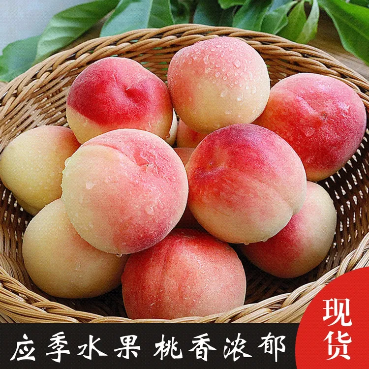 【放软爆汁】桃之乡突围水蜜桃4.5斤-5斤新鲜脆甜放软多汁现摘现发