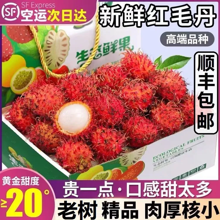 【顺丰到家】海南保亭红毛丹5斤当季新鲜热带水果1斤-3斤毛荔枝肉厚