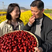 精选新疆和田大红枣