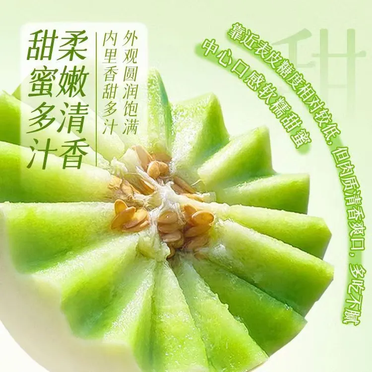 产地直发山东头茬冰淇淋玉菇甜瓜新鲜水果蜜瓜坏果包赔