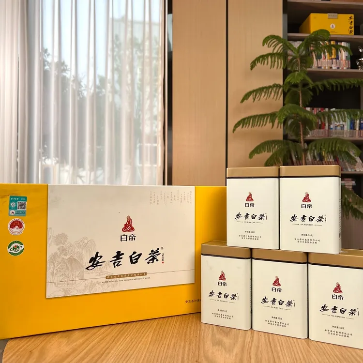 【浓兰花香F05】2025年原产地安吉白茶绿茶明前特级