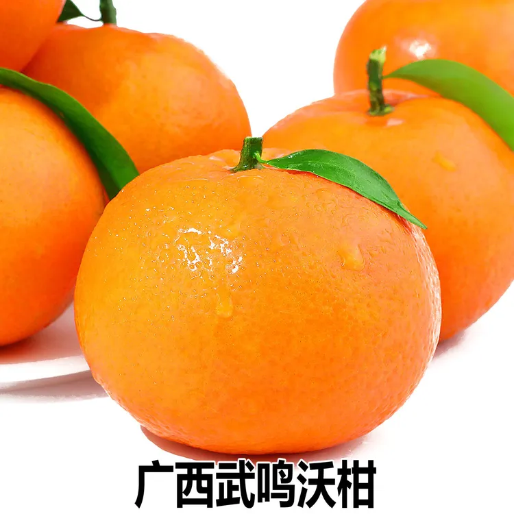 【沃柑】广西武鸣沃柑 3-8斤 脆甜爽口水果 新鲜当季当季水果靓果甜