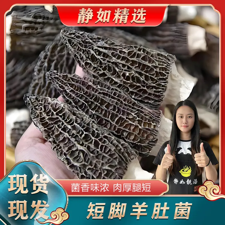 【静如精选】头茬厚肉羊肚菌  煲汤羊肚菌AA++