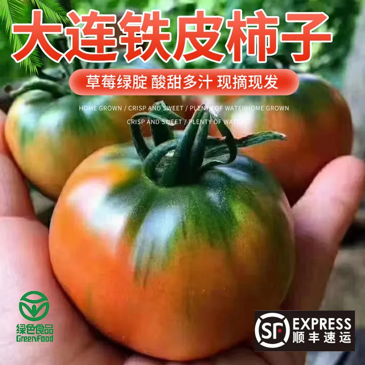 【绿色食品】大连正宗铁皮柿子草莓西红柿番茄酸甜可口碱地草莓番茄
