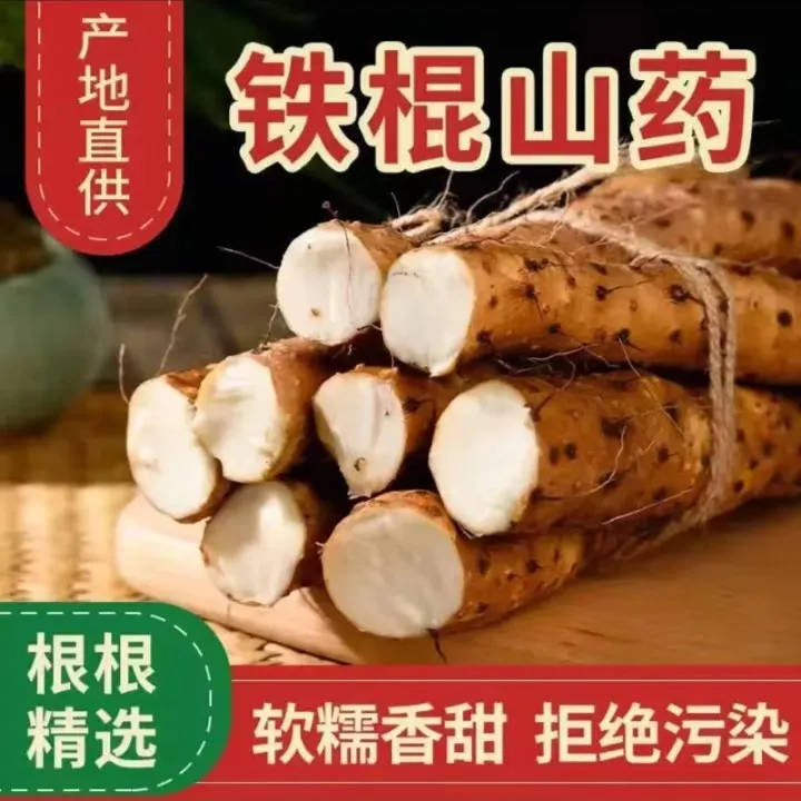 3--5斤装铁棍山药河南焦作温县正宗新鲜营养怀山药精选优质原产地