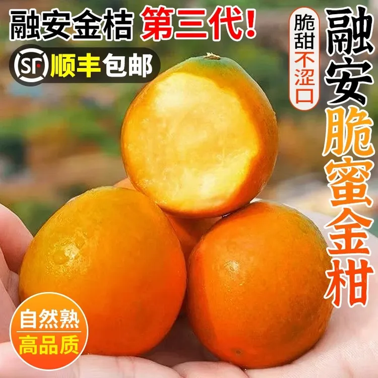 第三代｜融安脆蜜金桔水果应季新鲜桔子纯甜金桔坏果包赔整箱包邮