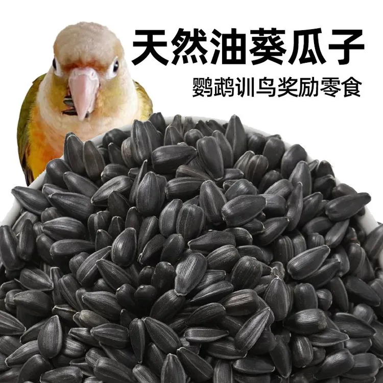 鹦鹉鸟食新黑瓜子油葵籽黑珍珠小瓜子葵花籽鹦鹉鸟食仓鼠粮食鸽粮