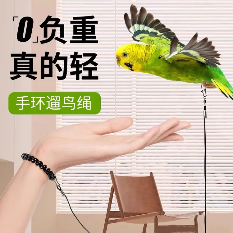 鹦鹉鸟用轻质放飞绳弹力牵引绳牡丹玄凤和尚金太阳鹦鹉外出遛鸟绳
