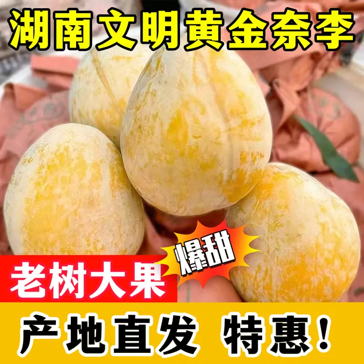 【京东直发】汝城文明黄金奈李现摘现发孕妇水果甜脆多汁整箱包邮