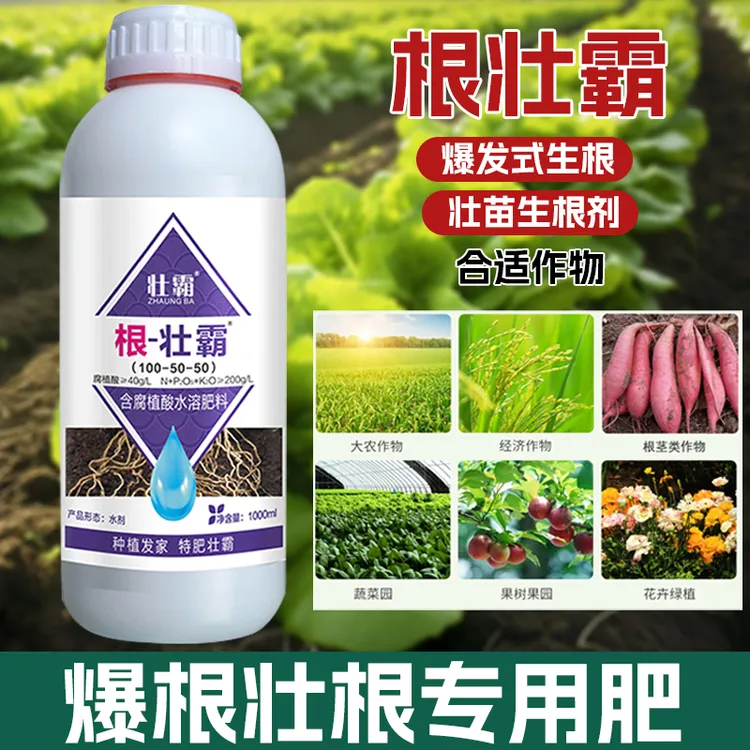 壮霸快速强力生根水溶肥爆根壮苗促生根系壮根技术生长种植配方