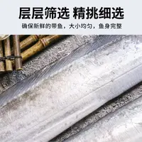 共4斤 北方小眼冷水油带鱼5两每条  合计8条顺丰冷链发 中大带鱼