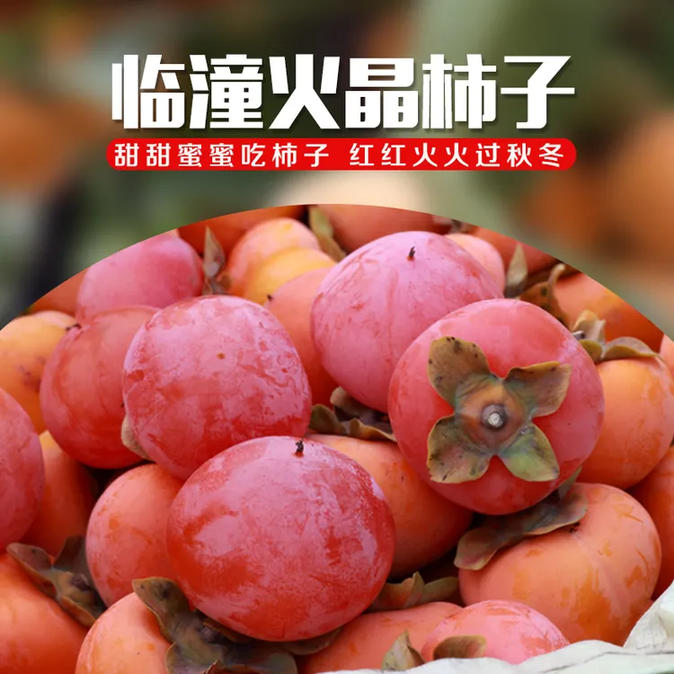 正宗陕西临潼火晶火罐蜜柿子当季新鲜甘甜多汁无核软柿子