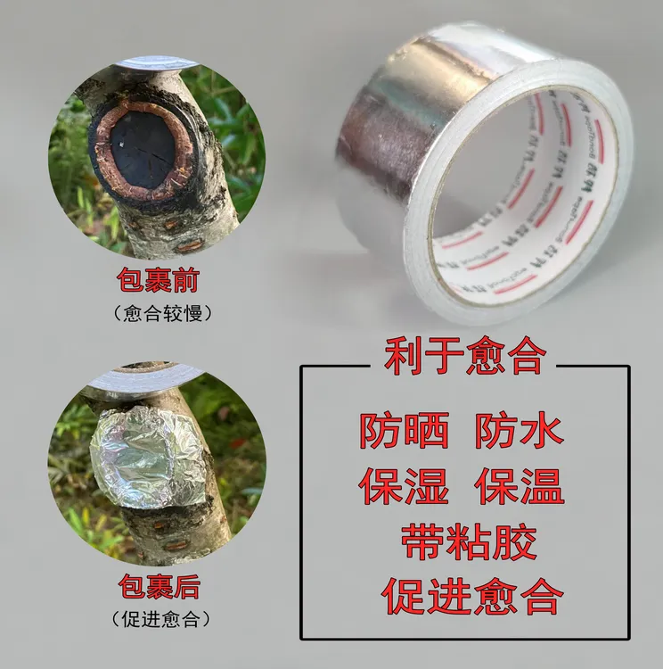 盆景专用锡纸胶带植物伤口锡纸树口封口贴树枝切口贴