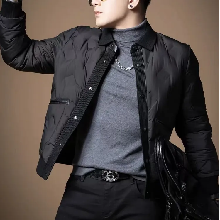 AipuDongni/艾普东尼冬男新款时尚休闲翻领百搭白鸭绒保暖羽绒服