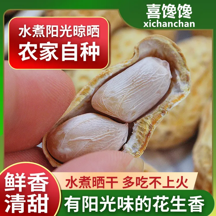 破价【500克到手】龙岩特产水煮白晒花生咸干蒜香五香花生下酒零食