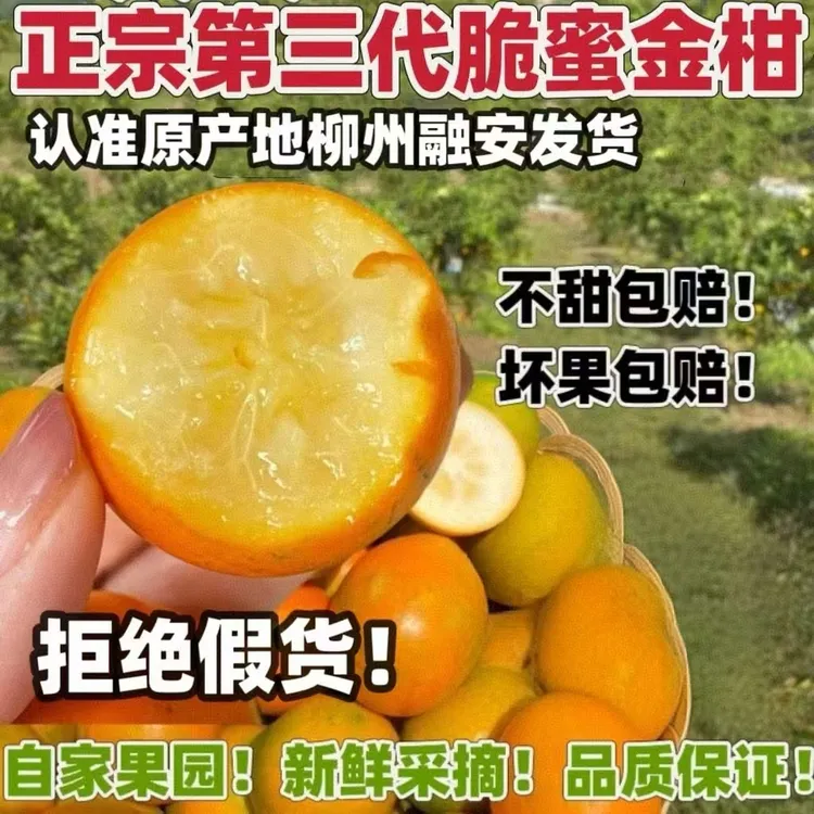 新鲜脆蜜金桔金桔脆蜜广西融安脆蜜金柑融安广西正宗新鲜采摘