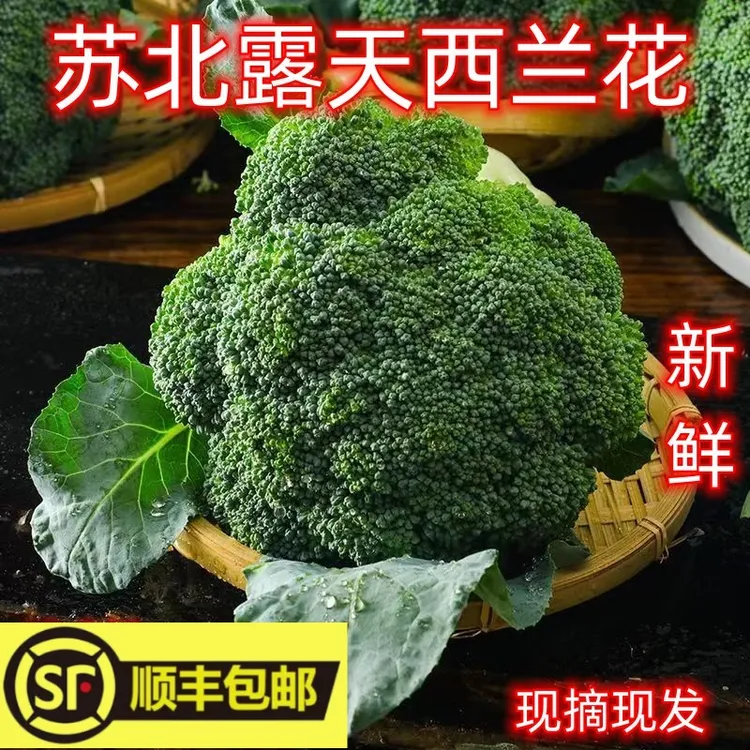 【顺丰包邮】新鲜西兰花绿花菜青花菜2斤3斤4斤